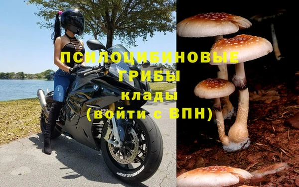 круглые Елизово