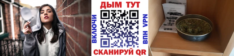 hydra зеркало  где купить наркотик  Иланский  это Telegram  Шишки марихуана гибрид 